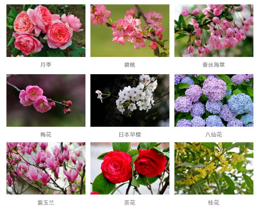 園林景觀工程如何節(jié)約成本？