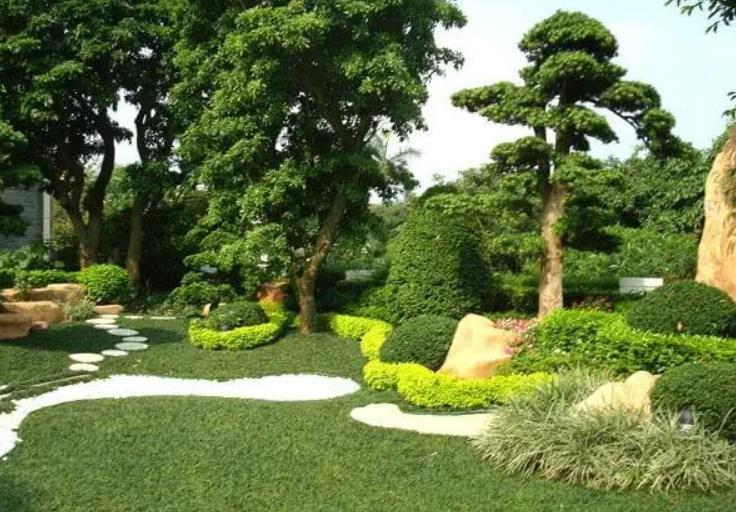 園林景觀設(shè)計(jì)之植物墻設(shè)計(jì)在哪些地方適合？